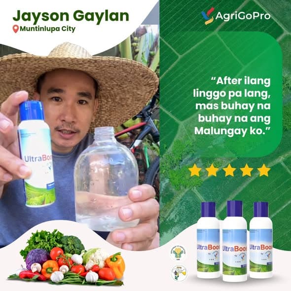 Jayson Gaylan from Muntinlupa City on results with AgriGoPro UltraBoost